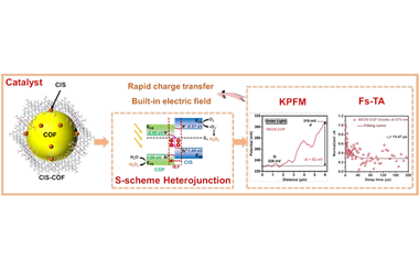 Ternary sulfide/triazinyl COF S‑scheme photocatalyst: Enhanced H2O2 production and Fs‑TA mechanistic study